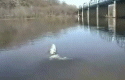 video1.jpg video1.jpg